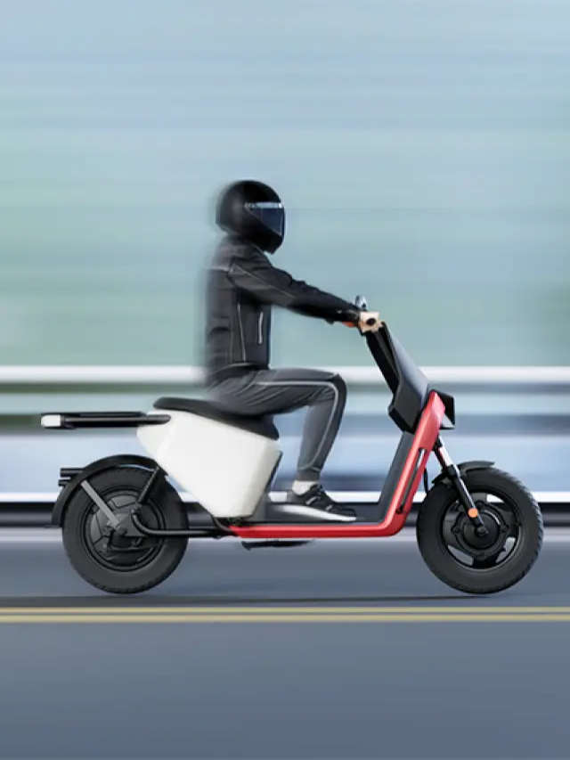 Ola Gig Electric Scooter